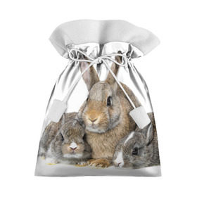 Подарочный 3D мешок с принтом Кролики в Петрозаводске, 100% полиэстер | Размер: 29*39 см | animals | bunnies | cute | eared | family | fluffy | kids | mom | rabbits | животные | зайцы | кролики | малыши | мама | милые | пушистые | семья | ушастые