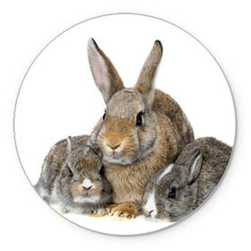 Коврик круглый с принтом Кролики в Петрозаводске, резина и полиэстер | круглая форма, изображение наносится на всю лицевую часть | Тематика изображения на принте: animals | bunnies | cute | eared | family | fluffy | kids | mom | rabbits | животные | зайцы | кролики | малыши | мама | милые | пушистые | семья | ушастые