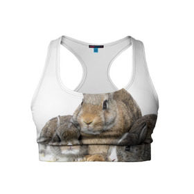 Женский спортивный топ 3D с принтом Кролики в Петрозаводске, 82% полиэстер, 18% спандекс Ткань безопасна для здоровья, позволяет коже дышать, не мнется и не растягивается |  | animals | bunnies | cute | eared | family | fluffy | kids | mom | rabbits | животные | зайцы | кролики | малыши | мама | милые | пушистые | семья | ушастые