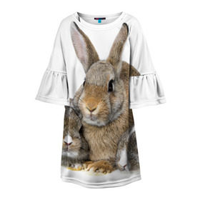 Детское платье 3D с принтом Кролики в Петрозаводске, 100% полиэстер | прямой силуэт, чуть расширенный к низу. Круглая горловина, на рукавах — воланы | Тематика изображения на принте: animals | bunnies | cute | eared | family | fluffy | kids | mom | rabbits | животные | зайцы | кролики | малыши | мама | милые | пушистые | семья | ушастые