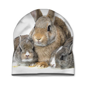 Шапка 3D с принтом Кролики в Петрозаводске, 100% полиэстер | универсальный размер, печать по всей поверхности изделия | Тематика изображения на принте: animals | bunnies | cute | eared | family | fluffy | kids | mom | rabbits | животные | зайцы | кролики | малыши | мама | милые | пушистые | семья | ушастые