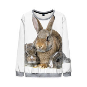 Мужской свитшот 3D с принтом Кролики в Петрозаводске, 100% полиэстер с мягким внутренним слоем | круглый вырез горловины, мягкая резинка на манжетах и поясе, свободная посадка по фигуре | animals | bunnies | cute | eared | family | fluffy | kids | mom | rabbits | животные | зайцы | кролики | малыши | мама | милые | пушистые | семья | ушастые