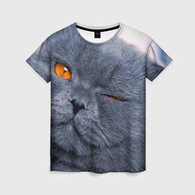 Женская футболка 3D с принтом Кот в Петрозаводске, 100% полиэфир ( синтетическое хлопкоподобное полотно) | прямой крой, круглый вырез горловины, длина до линии бедер | британский | взгляд | глаза | животные | кот