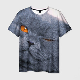 Мужская футболка 3D с принтом Кот в Петрозаводске, 100% полиэфир | прямой крой, круглый вырез горловины, длина до линии бедер | Тематика изображения на принте: британский | взгляд | глаза | животные | кот