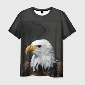 Мужская футболка 3D с принтом Орел 3 в Петрозаводске, 100% полиэфир | прямой крой, круглый вырез горловины, длина до линии бедер | орел | птица | ястреб