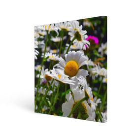 Холст квадратный с принтом Ромашки в Петрозаводске, 100% ПВХ |  | Тематика изображения на принте: желтая | лепесток | природа | ромашка | цветок | яркая