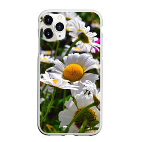 Чехол для iPhone 11 Pro матовый с принтом Ромашки в Петрозаводске, Силикон |  | желтая | лепесток | природа | ромашка | цветок | яркая