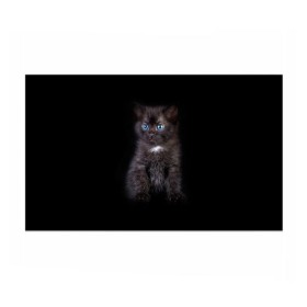 Бумага для упаковки 3D с принтом Чёрный котёнок в Петрозаводске, пластик и полированная сталь | круглая форма, металлическое крепление в виде кольца | Тематика изображения на принте: киска | кот | кошка