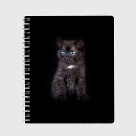 Тетрадь с принтом Чёрный котёнок в Петрозаводске, 100% бумага | 48 листов, плотность листов — 60 г/м2, плотность картонной обложки — 250 г/м2. Листы скреплены сбоку удобной пружинной спиралью. Уголки страниц и обложки скругленные. Цвет линий — светло-серый
 | киска | кот | кошка