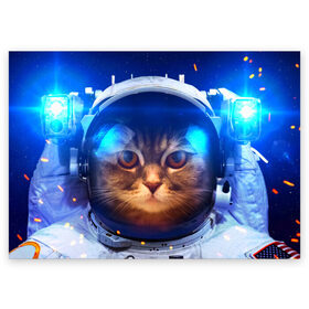 Поздравительная открытка с принтом Кот космонавт в Петрозаводске, 100% бумага | плотность бумаги 280 г/м2, матовая, на обратной стороне линовка и место для марки
 | кот | кошка | скафандр