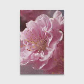 Обложка для паспорта матовая кожа с принтом Розовые цветы в Петрозаводске, натуральная матовая кожа | размер 19,3 х 13,7 см; прозрачные пластиковые крепления | Тематика изображения на принте: девушкам | розы | цветочки | цветы