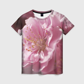 Женская футболка 3D с принтом Розовые цветы в Петрозаводске, 100% полиэфир ( синтетическое хлопкоподобное полотно) | прямой крой, круглый вырез горловины, длина до линии бедер | девушкам | розы | цветочки | цветы