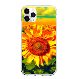 Чехол для iPhone 11 Pro матовый с принтом Подсолнухи в Петрозаводске, Силикон |  | лето | подсолнух | солнце | цветы