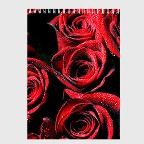 Скетчбук с принтом Розы в Петрозаводске, 100% бумага
 | 48 листов, плотность листов — 100 г/м2, плотность картонной обложки — 250 г/м2. Листы скреплены сверху удобной пружинной спиралью | алый | красный | роса | фото | цветы