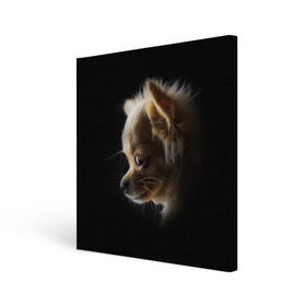Холст квадратный с принтом Чихуахуа в Петрозаводске, 100% ПВХ |  | голова животного | прикольные картинки | собака | чихуахуа | щенок