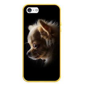 Чехол для iPhone 5/5S матовый с принтом Чихуахуа в Петрозаводске, Силикон | Область печати: задняя сторона чехла, без боковых панелей | голова животного | прикольные картинки | собака | чихуахуа | щенок