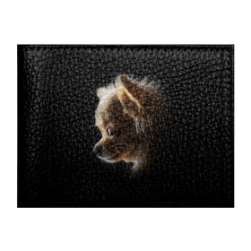 Обложка для студенческого билета с принтом Чихуахуа в Петрозаводске, натуральная кожа | Размер: 11*8 см; Печать на всей внешней стороне | Тематика изображения на принте: голова животного | прикольные картинки | собака | чихуахуа | щенок
