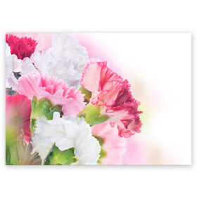 Поздравительная открытка с принтом Белые и розовые цветы в Петрозаводске, 100% бумага | плотность бумаги 280 г/м2, матовая, на обратной стороне линовка и место для марки
 | Тематика изображения на принте: лепестки | прикольные картинки | цветочки | цветы