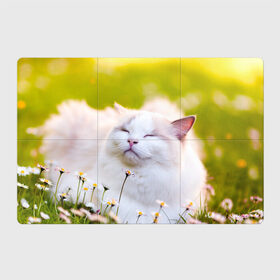 Магнитный плакат 3Х2 с принтом Белая киса в Петрозаводске, Полимерный материал с магнитным слоем | 6 деталей размером 9*9 см | cat | киса | котенок | кошка | лето | ромашки | солнце