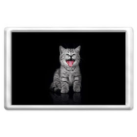 Магнит 45*70 с принтом Весёлый котик в Петрозаводске, Пластик | Размер: 78*52 мм; Размер печати: 70*45 | Тематика изображения на принте: кот | кошка | прикол
