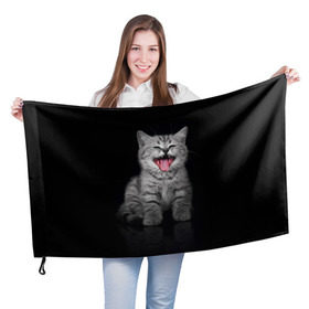 Флаг 3D с принтом Весёлый котик в Петрозаводске, 100% полиэстер | плотность ткани — 95 г/м2, размер — 67 х 109 см. Принт наносится с одной стороны | Тематика изображения на принте: кот | кошка | прикол