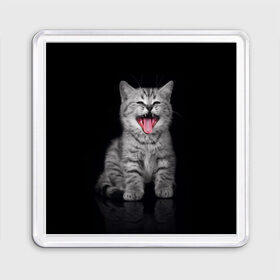 Магнит 55*55 с принтом Весёлый котик в Петрозаводске, Пластик | Размер: 65*65 мм; Размер печати: 55*55 мм | Тематика изображения на принте: кот | кошка | прикол