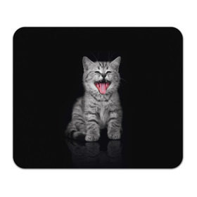 Коврик прямоугольный с принтом Весёлый котик в Петрозаводске, натуральный каучук | размер 230 х 185 мм; запечатка лицевой стороны | Тематика изображения на принте: кот | кошка | прикол