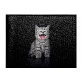 Обложка для студенческого билета с принтом Весёлый котик в Петрозаводске, натуральная кожа | Размер: 11*8 см; Печать на всей внешней стороне | Тематика изображения на принте: кот | кошка | прикол