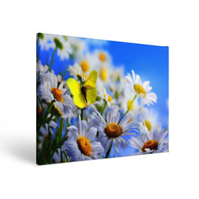 Холст прямоугольный с принтом Ромашки и бабочка в Петрозаводске, 100% ПВХ |  | Тематика изображения на принте: бабочки | лето | природа | ромашки | цветы