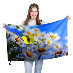Флаг 3D с принтом Ромашки и бабочка в Петрозаводске, 100% полиэстер | плотность ткани — 95 г/м2, размер — 67 х 109 см. Принт наносится с одной стороны | бабочки | лето | природа | ромашки | цветы