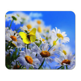 Коврик прямоугольный с принтом Ромашки и бабочка в Петрозаводске, натуральный каучук | размер 230 х 185 мм; запечатка лицевой стороны | бабочки | лето | природа | ромашки | цветы