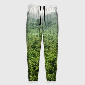 Мужские брюки 3D с принтом Потрясающие тропики в Петрозаводске, 100% полиэстер | манжеты по низу, эластичный пояс регулируется шнурком, по бокам два кармана без застежек, внутренняя часть кармана из мелкой сетки | деревья | джунгли | зелень | красиво | лес | пейзаж | фото