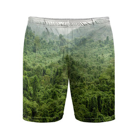 Мужские шорты 3D спортивные с принтом Потрясающие тропики в Петрозаводске,  |  | деревья | джунгли | зелень | красиво | лес | пейзаж | фото