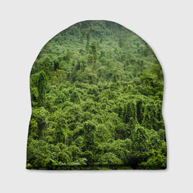 Шапка 3D с принтом Потрясающие тропики в Петрозаводске, 100% полиэстер | универсальный размер, печать по всей поверхности изделия | деревья | джунгли | зелень | красиво | лес | пейзаж | фото