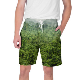 Мужские шорты 3D с принтом Потрясающие тропики в Петрозаводске,  полиэстер 100% | прямой крой, два кармана без застежек по бокам. Мягкая трикотажная резинка на поясе, внутри которой широкие завязки. Длина чуть выше колен | деревья | джунгли | зелень | красиво | лес | пейзаж | фото