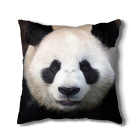 Подушка 3D с принтом Милая панда в Петрозаводске, наволочка – 100% полиэстер, наполнитель – холлофайбер (легкий наполнитель, не вызывает аллергию). | состоит из подушки и наволочки. Наволочка на молнии, легко снимается для стирки | animal | hunny | panda | животные | классная | милая | милота | панда | фото | хорошая