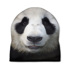 Шапка 3D с принтом Милая панда в Петрозаводске, 100% полиэстер | универсальный размер, печать по всей поверхности изделия | Тематика изображения на принте: animal | hunny | panda | животные | классная | милая | милота | панда | фото | хорошая