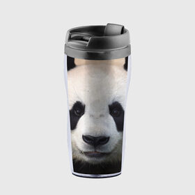 Термокружка-непроливайка с принтом Милая панда в Петрозаводске, внутренняя часть — пищевой пластик, наружная часть — прозрачный пластик, между ними — полиграфическая вставка с рисунком | объем — 350 мл, герметичная крышка | Тематика изображения на принте: animal | hunny | panda | животные | классная | милая | милота | панда | фото | хорошая
