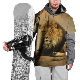 Накидка на куртку 3D с принтом Величиственый лев в Петрозаводске, 100% полиэстер |  | царь зверей