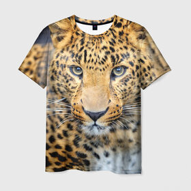 Мужская футболка 3D с принтом Хищные животные в Петрозаводске, 100% полиэфир | прямой крой, круглый вырез горловины, длина до линии бедер | леопард | пятнистый | хищник