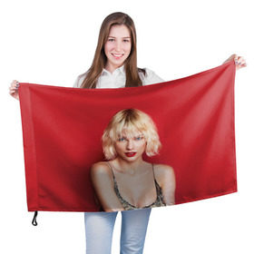 Флаг 3D с принтом Taylor Swift в Петрозаводске, 100% полиэстер | плотность ткани — 95 г/м2, размер — 67 х 109 см. Принт наносится с одной стороны | звезда | знаменитость | музыка | певица