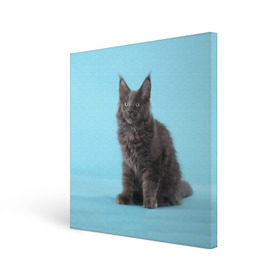 Холст квадратный с принтом Кот мейн кун в Петрозаводске, 100% ПВХ |  | котенок | мейнкун