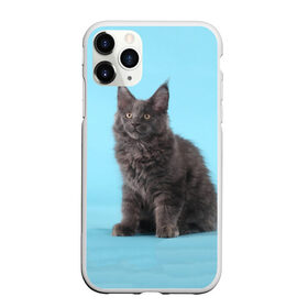 Чехол для iPhone 11 Pro матовый с принтом Кот мейн кун в Петрозаводске, Силикон |  | котенок | мейнкун