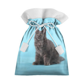 Подарочный 3D мешок с принтом Кот мейн кун в Петрозаводске, 100% полиэстер | Размер: 29*39 см | котенок | мейнкун