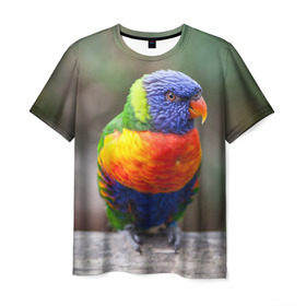 Мужская футболка 3D с принтом Попугай в Петрозаводске, 100% полиэфир | прямой крой, круглый вырез горловины, длина до линии бедер | пернатые | попугай | прикольные картинки | природа | птица