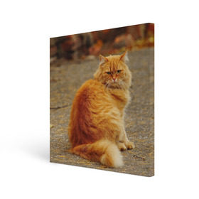 Холст квадратный с принтом Рыжий кот в Петрозаводске, 100% ПВХ |  | Тематика изображения на принте: коты | кошки