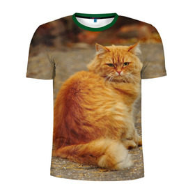 Мужская футболка 3D спортивная с принтом Рыжий кот в Петрозаводске, 100% полиэстер с улучшенными характеристиками | приталенный силуэт, круглая горловина, широкие плечи, сужается к линии бедра | Тематика изображения на принте: коты | кошки