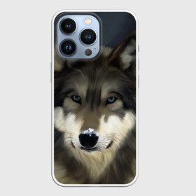 Чехол для iPhone 13 Pro с принтом Картина волк в Петрозаводске,  |  | Тематика изображения на принте: волк | животные | собака