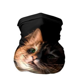 Бандана-труба 3D с принтом Зеленоглазый котёнок в Петрозаводске, 100% полиэстер, ткань с особыми свойствами — Activecool | плотность 150‒180 г/м2; хорошо тянется, но сохраняет форму | Тематика изображения на принте: кот | кошка | прикольные картинки