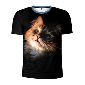 Мужская футболка 3D спортивная с принтом Зеленоглазый котёнок в Петрозаводске, 100% полиэстер с улучшенными характеристиками | приталенный силуэт, круглая горловина, широкие плечи, сужается к линии бедра | кот | кошка | прикольные картинки